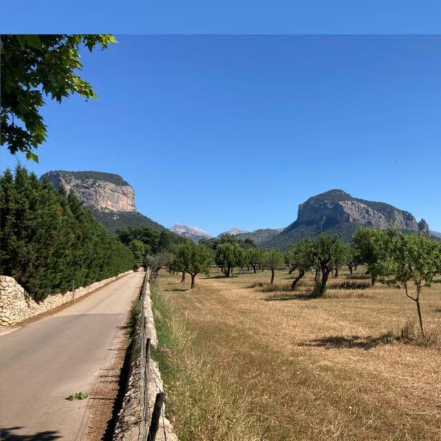 Sa Sort De Can Moix Alaro Exterior photo